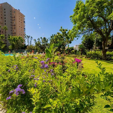 Апартаменты Cubo's Seaview Evy Playa *