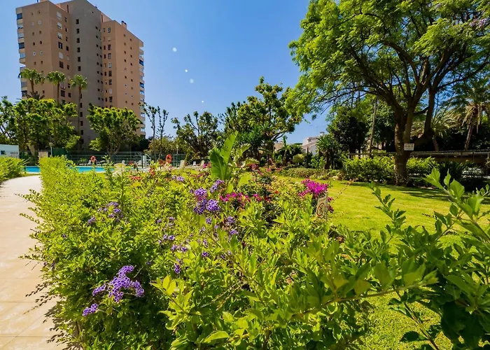 Apartment Cubo's Seaview Evy Playa *