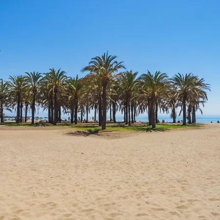 Cubo's Seaview Evy Playa *